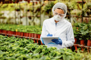 🌍 Tendencias 2026 en Ingredientes Funcionales: Innovación y Valor para la Industria Alimentaria en Colombia